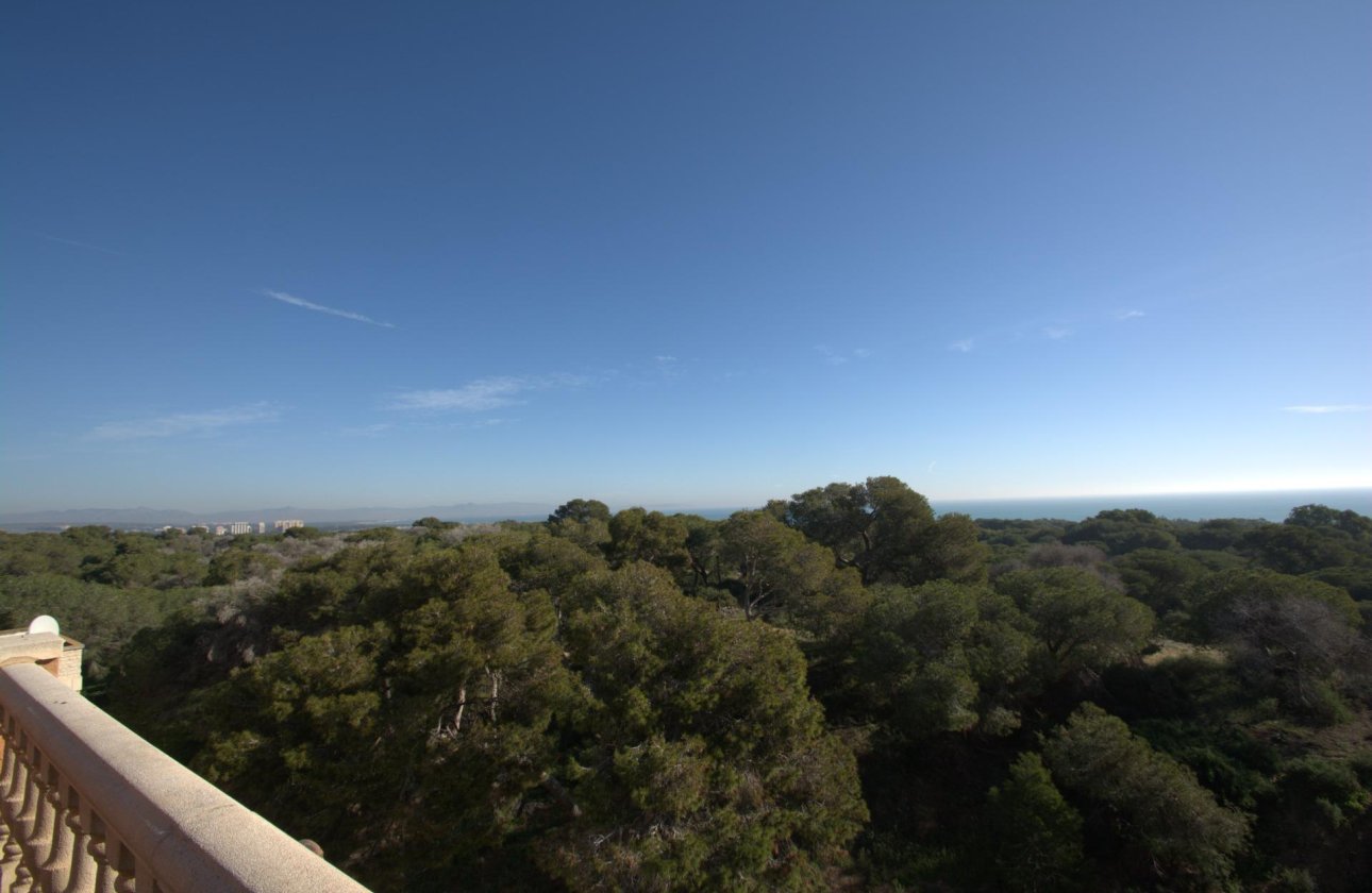 Nieuwbouw Woningen - Penthouse -
Guardamar del Segura - Pueblo