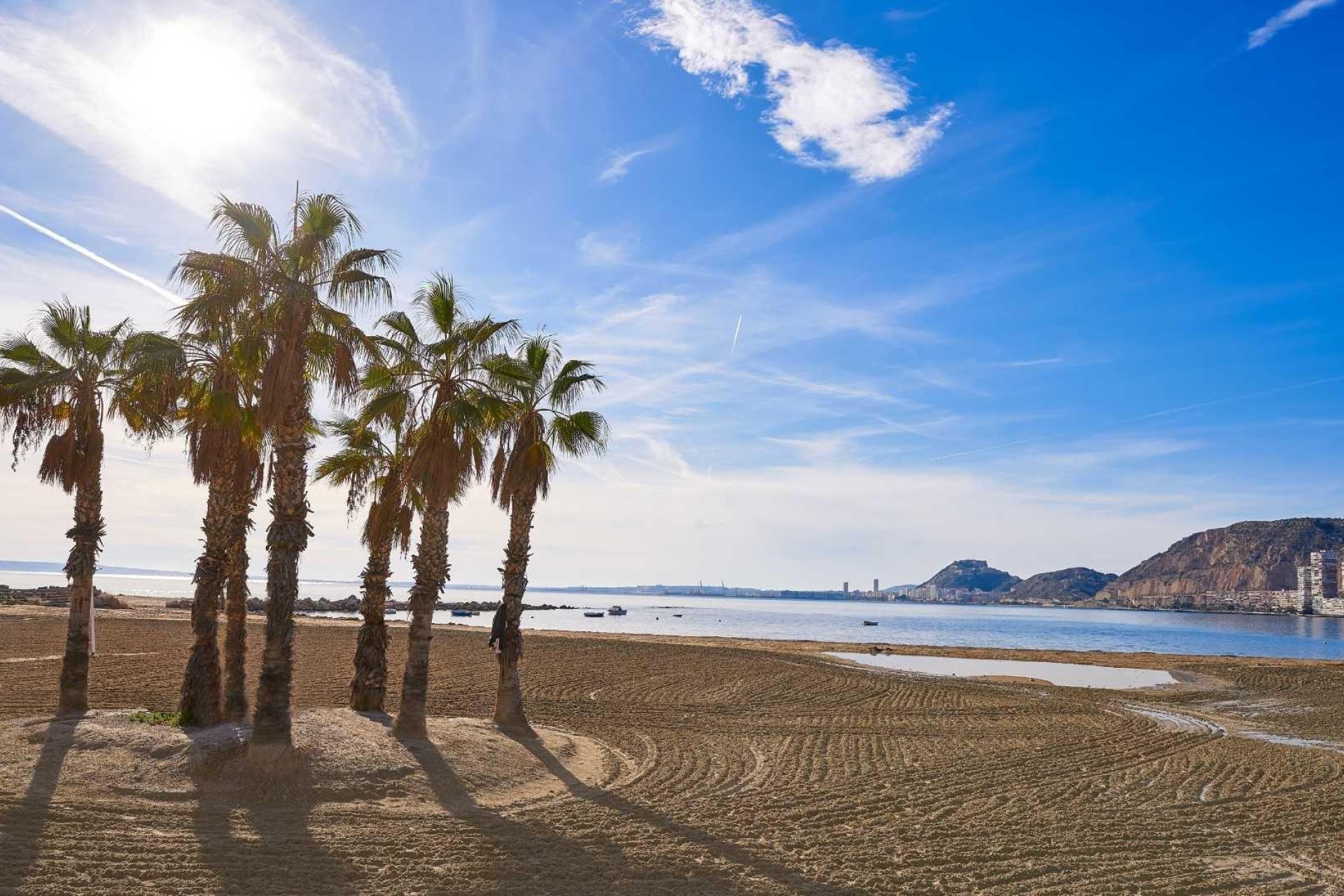 Nieuwbouw Woningen - Semidetached -
Els Poblets - Partida Barranquets