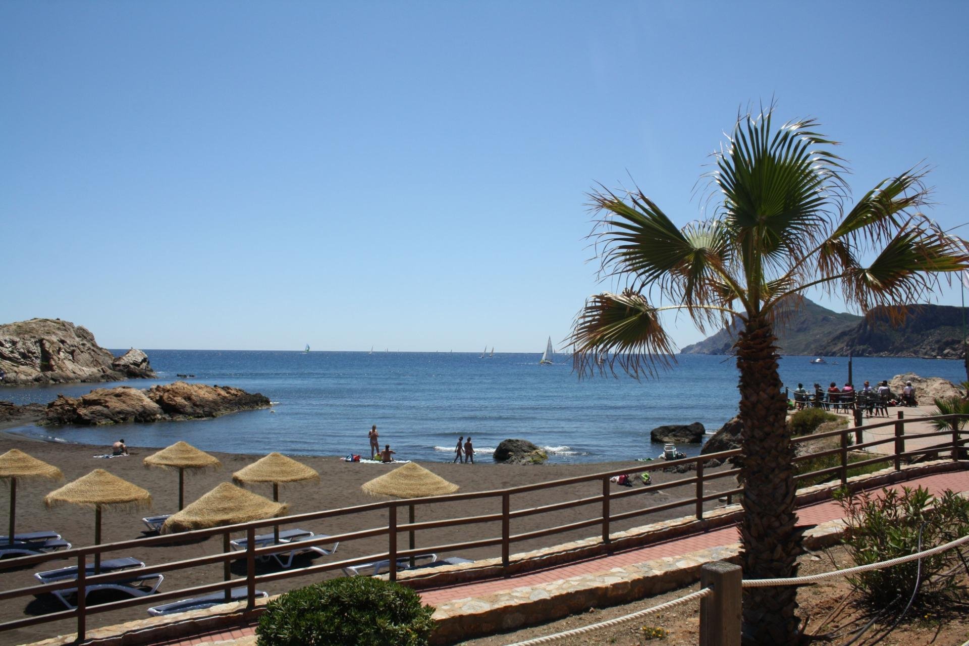 Nieuwbouw Woningen - Town House -
La Union - centro