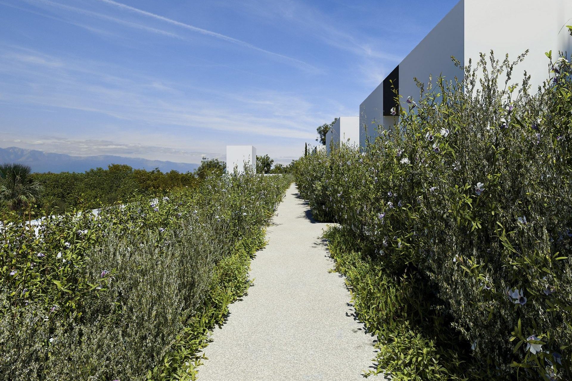 Nieuwbouw Woningen - Villa -
Alfas del Pí - Barranc Fondo