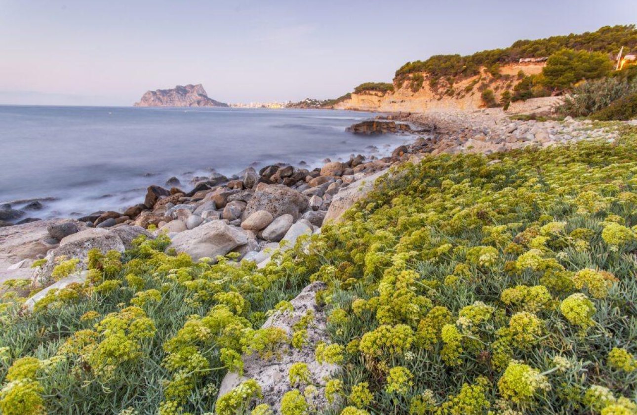 Nieuwbouw Woningen - Villa -
Benissa - Cala Advocat