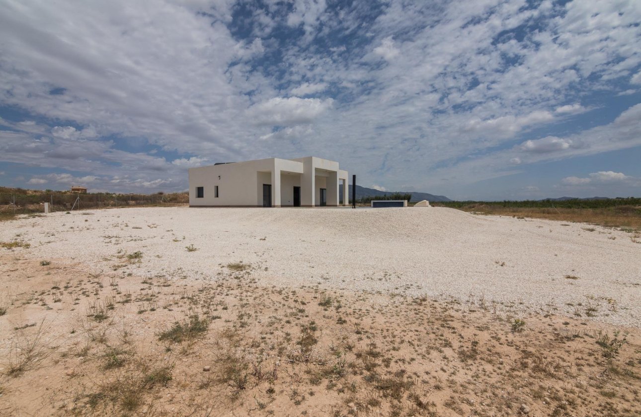 Nieuwbouw Woningen - Villa -
Pinoso - Campo