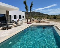 Nieuwbouw Woningen - Villa -
Pinoso - Casas Pastor
