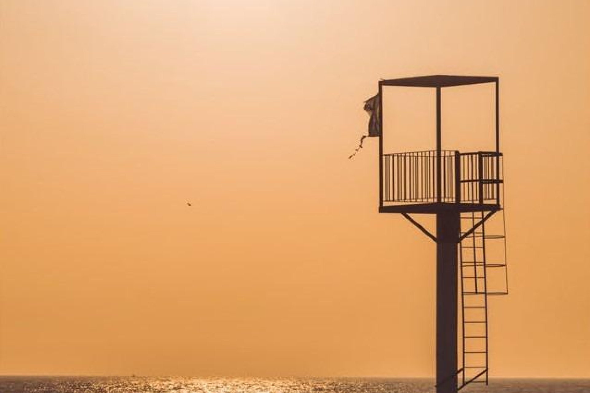 Nouvelle Construction - Appartement -
Almerimar