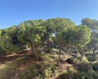 Nouvelle Construction - Appartement -
Guardamar del Segura - Centro