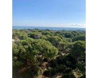 Nouvelle Construction - Appartement -
Guardamar del Segura - Centro