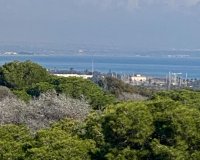 Nouvelle Construction - Appartement -
Guardamar del Segura - Centro