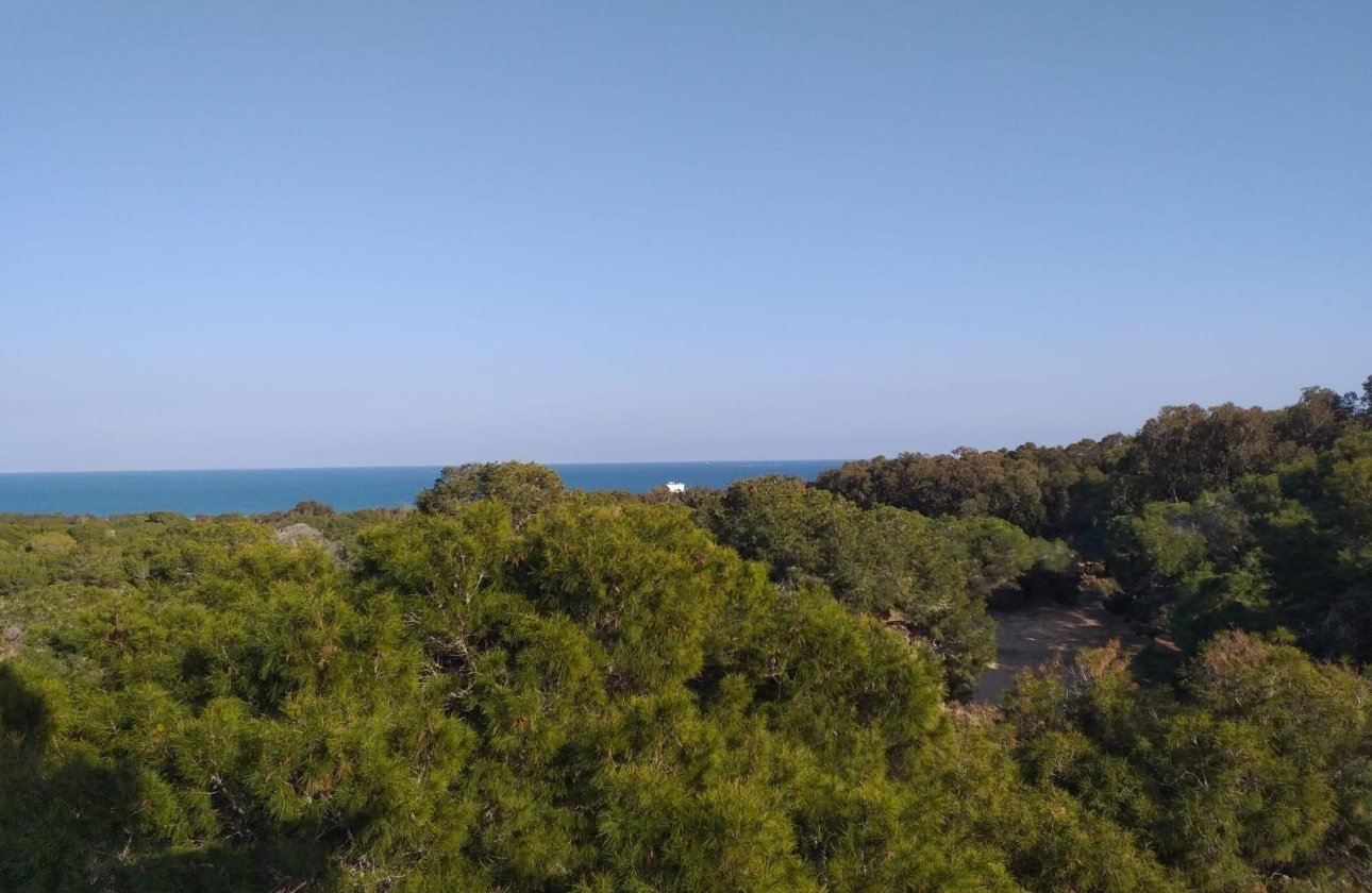 Nouvelle Construction - Appartement -
Guardamar del Segura - Pueblo