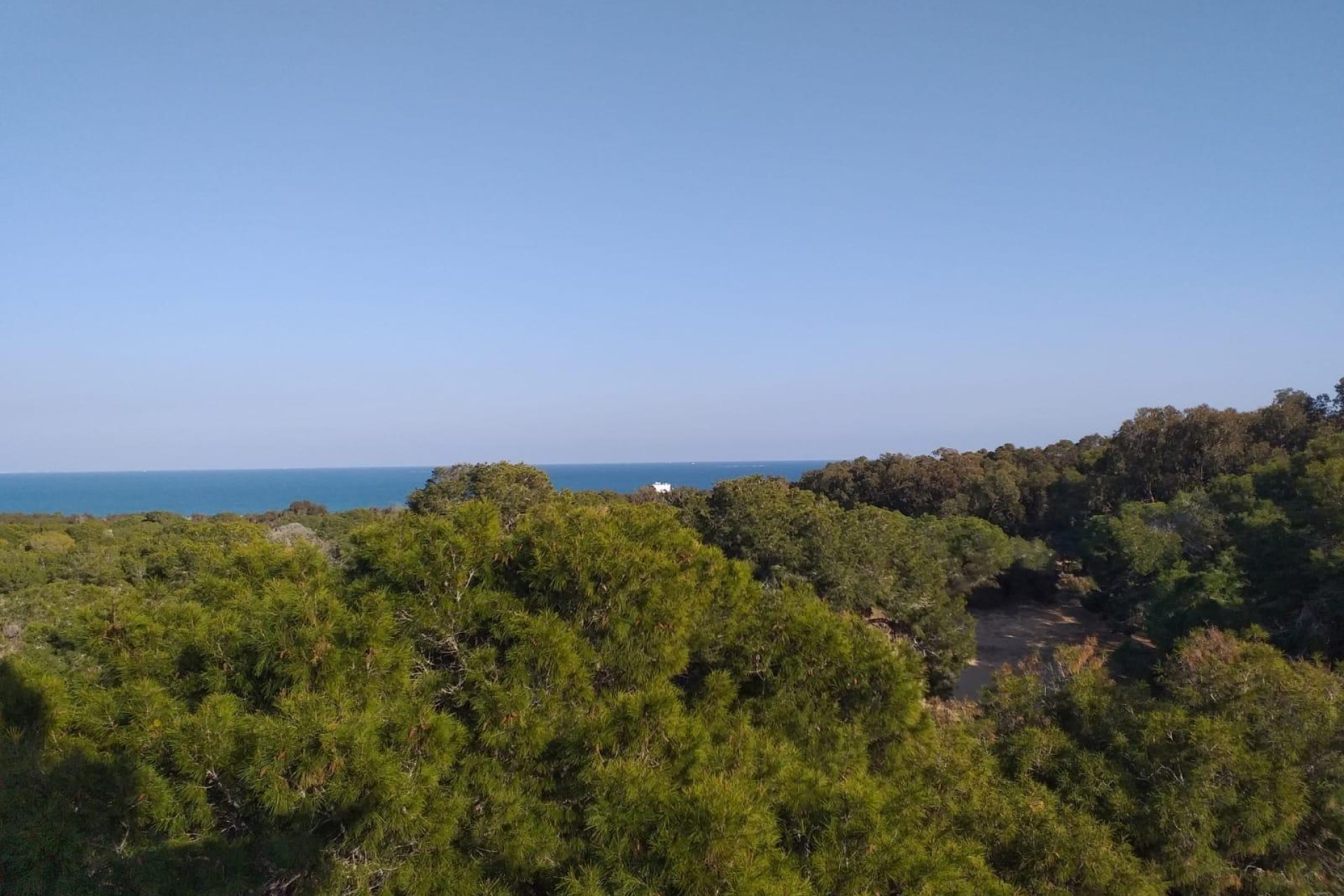 Nouvelle Construction - Appartement -
Guardamar del Segura - Pueblo