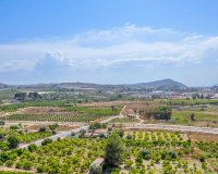 Nouvelle Construction - Appartement -
Jacarilla - pueblo