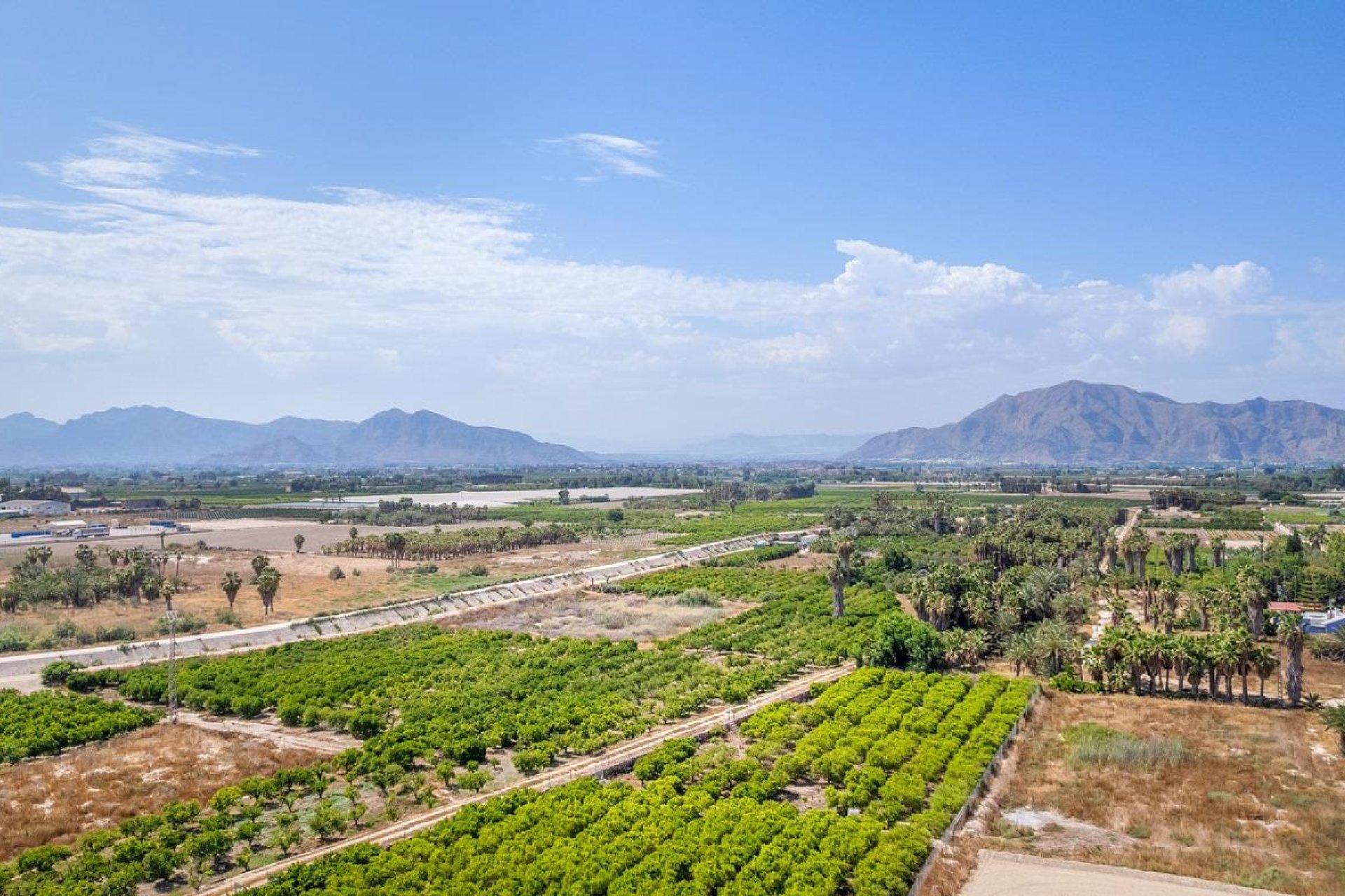 Nouvelle Construction - Appartement -
Jacarilla - pueblo