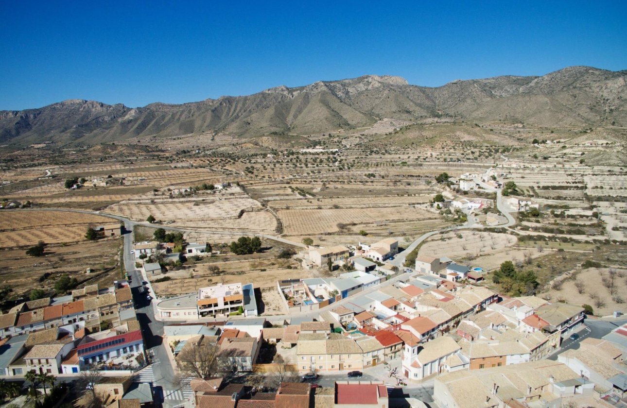 Nouvelle Construction - Bungalow -
Hondón de las Nieves - El Salero