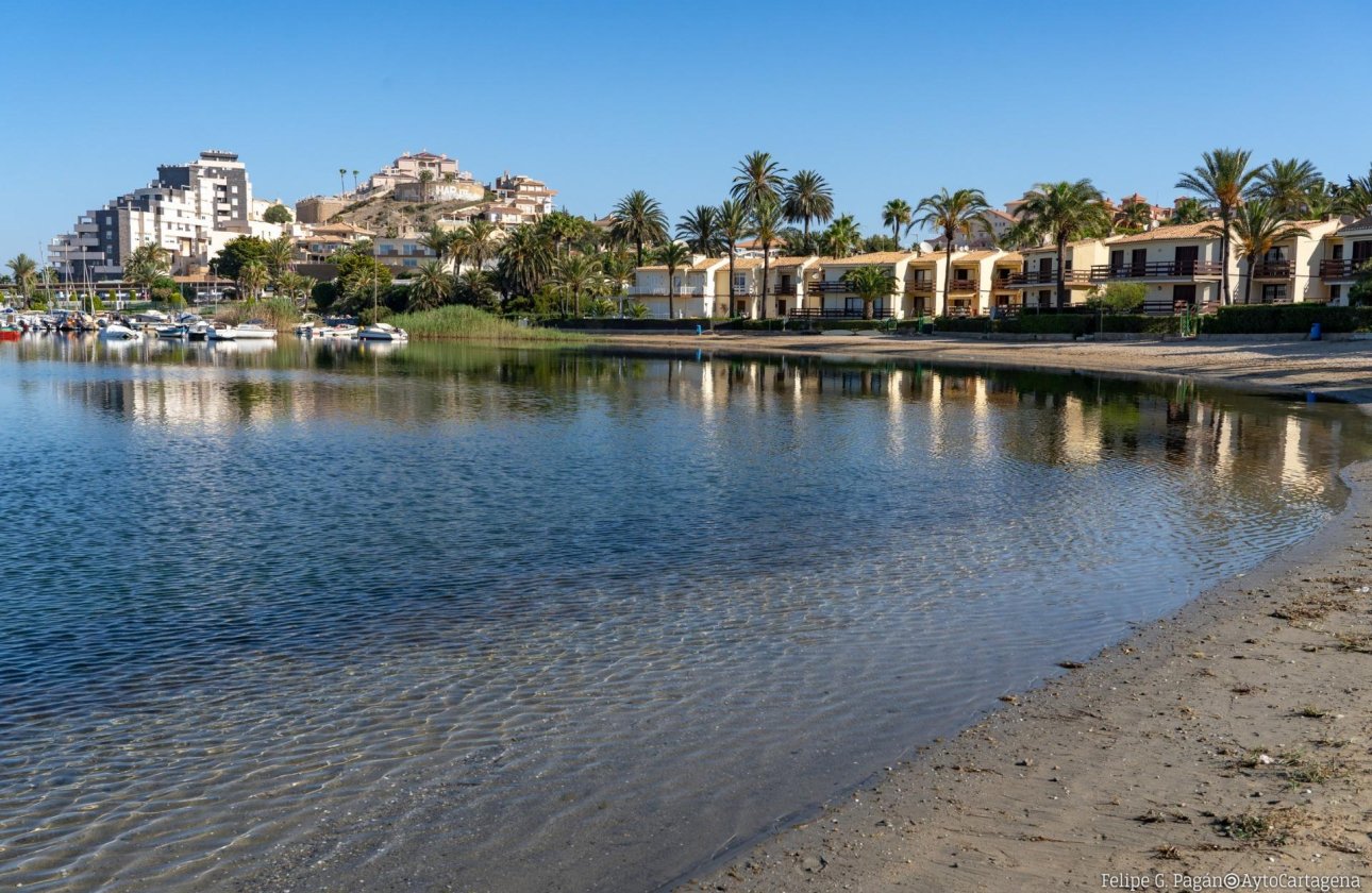 Nouvelle Construction - Bungalow -
La Manga Club