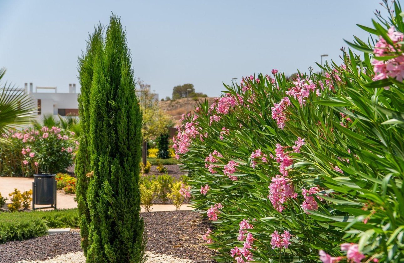 Nouvelle Construction - Bungalow -
Orihuela - Vistabella Golf