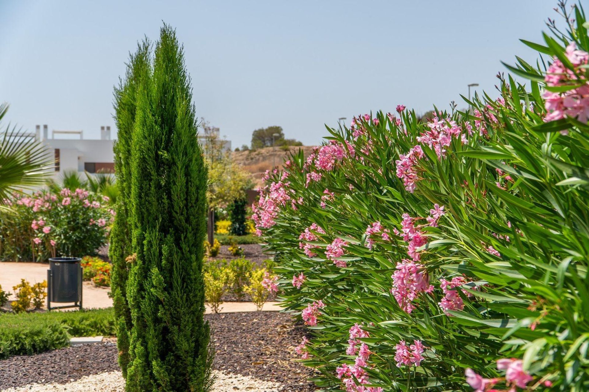 Nouvelle Construction - Bungalow -
Orihuela - Vistabella Golf