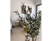 Nouvelle Construction - Bungalow -
San Fulgencio - Pueblo