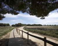 Nouvelle Construction - Bungalow -
Torrevieja - Torrejón