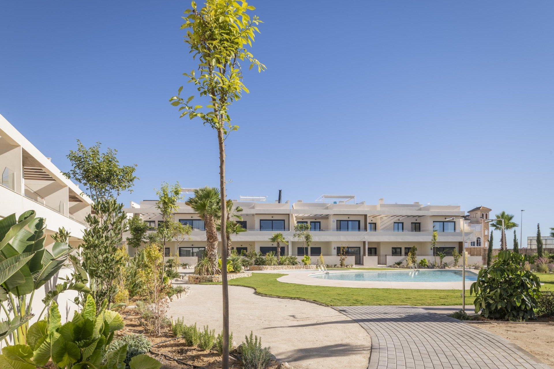 Nouvelle Construction - Bungalow -
Torrevieja - Villa Amalia