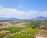 Nouvelle Construction - Ground floor apartment -
Jacarilla - pueblo