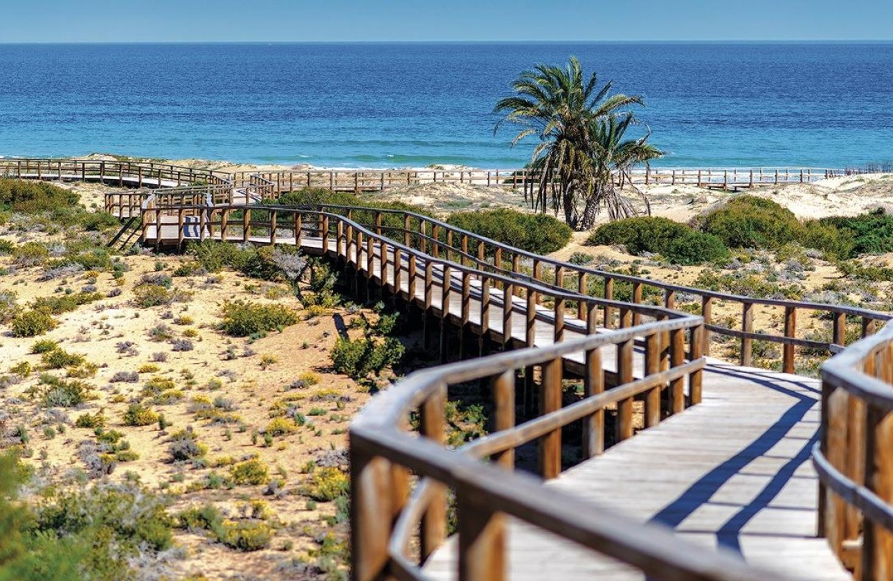 Nouvelle Construction - Ground floor apartment -
Monforte del Cid - Alenda Golf