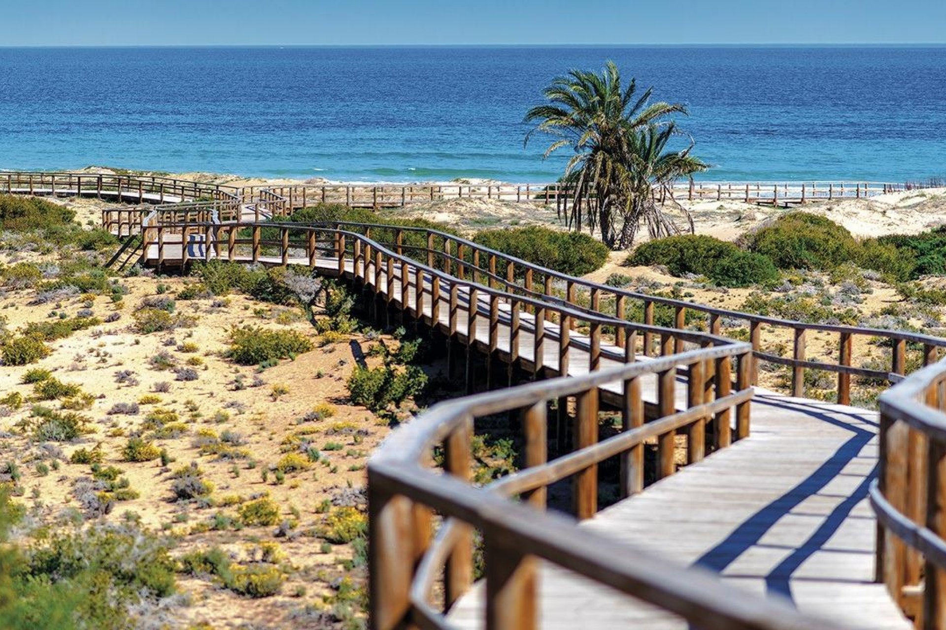 Nouvelle Construction - Ground floor apartment -
Monforte del Cid - Alenda Golf