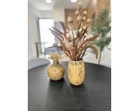 Nouvelle Construction - Ground Floor Bungalow -
San Fulgencio - Pueblo