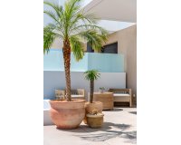 Nouvelle Construction - Semidetached -
Dolores - Sector 3