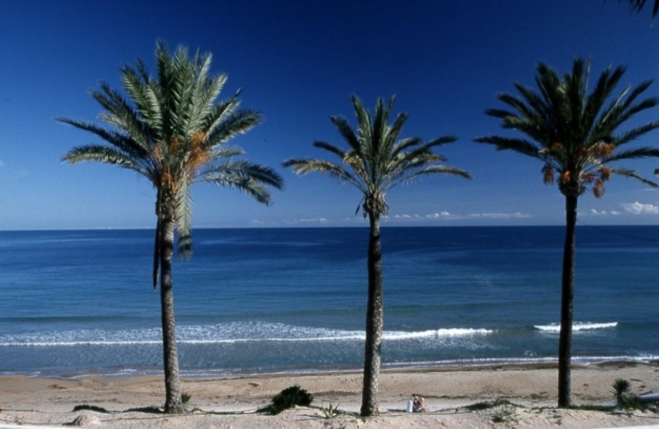 Nouvelle Construction - Top Floor Bungalow -
Pilar de la Horadada - Parque Ramon eugenio Escudero