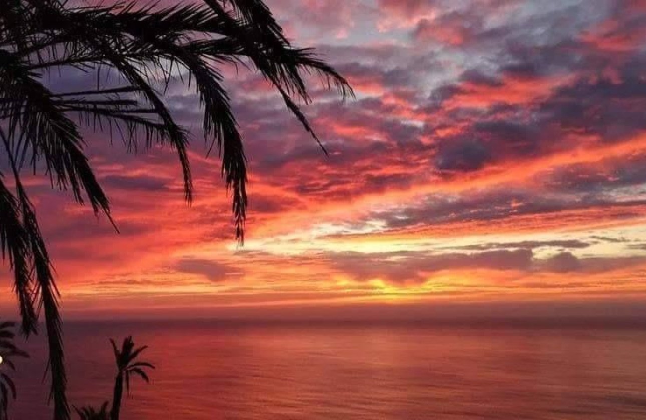 Nouvelle Construction - Top Floor Bungalow -
Torrevieja - Altos del Sol