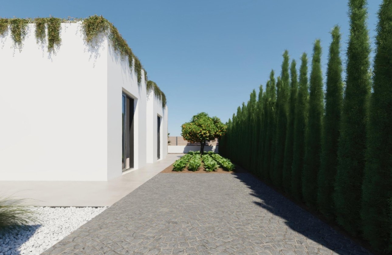 Nouvelle Construction - Villa -
Fuente Álamo - Hacienda del Alamo
