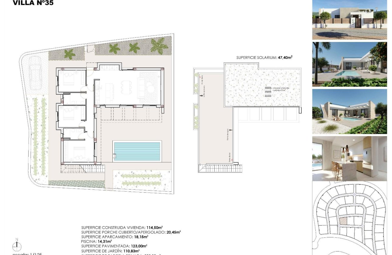 Nouvelle Construction - Villa -
Fuente Álamo - Hacienda del Alamo