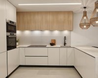 Nouvelle Construction - Villa -
Los Alcazares - Torre del Rame
