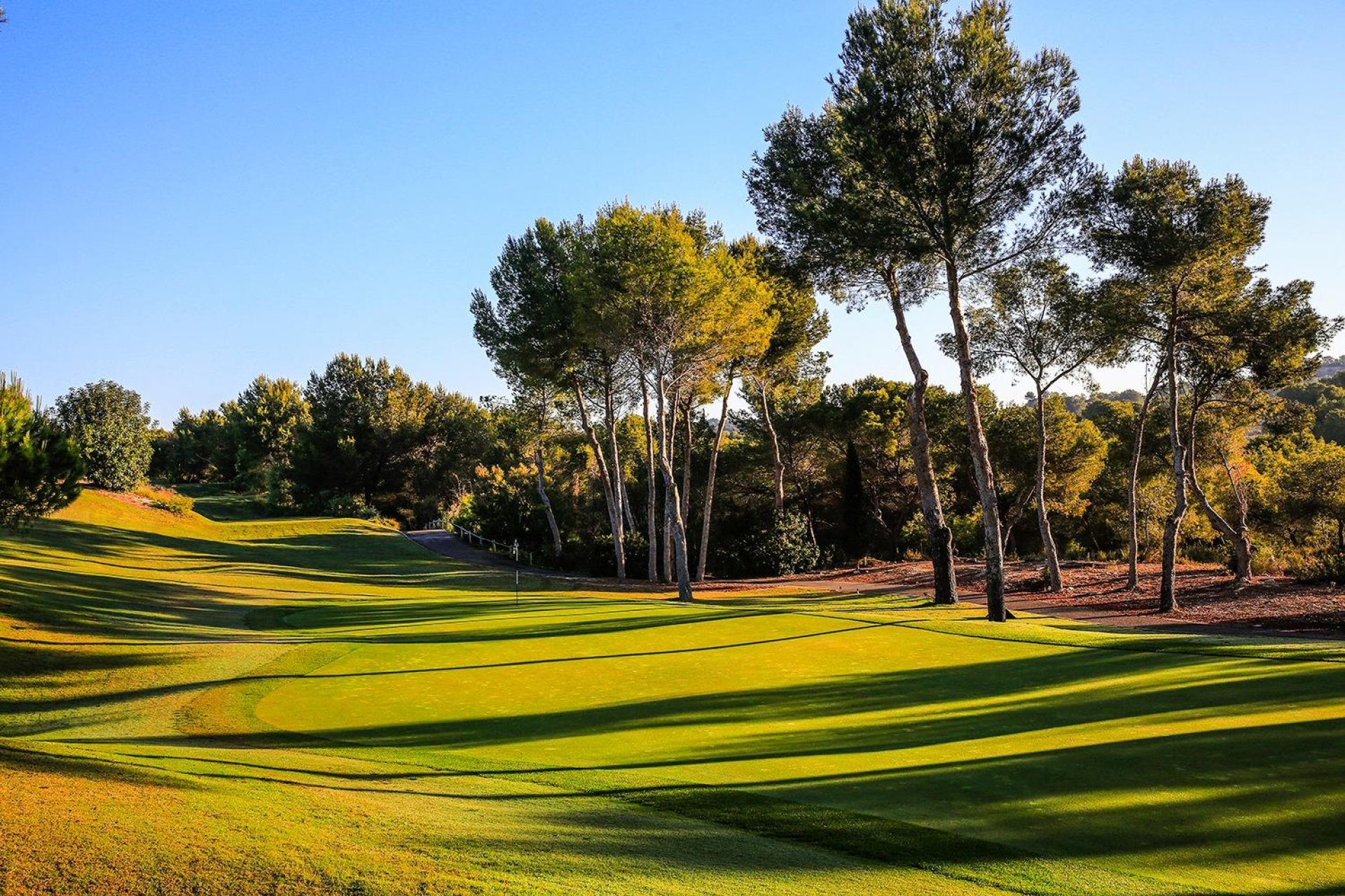 Nouvelle Construction - Villa -
Orihuela - Las Colinas Golf