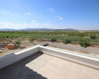 Nouvelle Construction - Villa -
Pinoso - Camino Del Prado