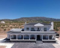 Nouvelle Construction - Villa -
Pinoso - Camino Del Prado