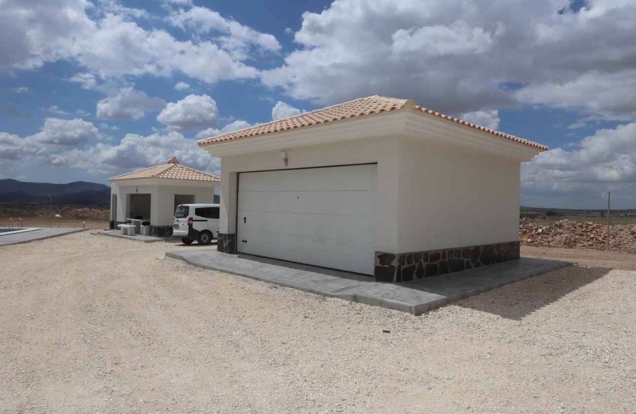 Nouvelle Construction - Villa -
Pinoso - Camino Del Prado