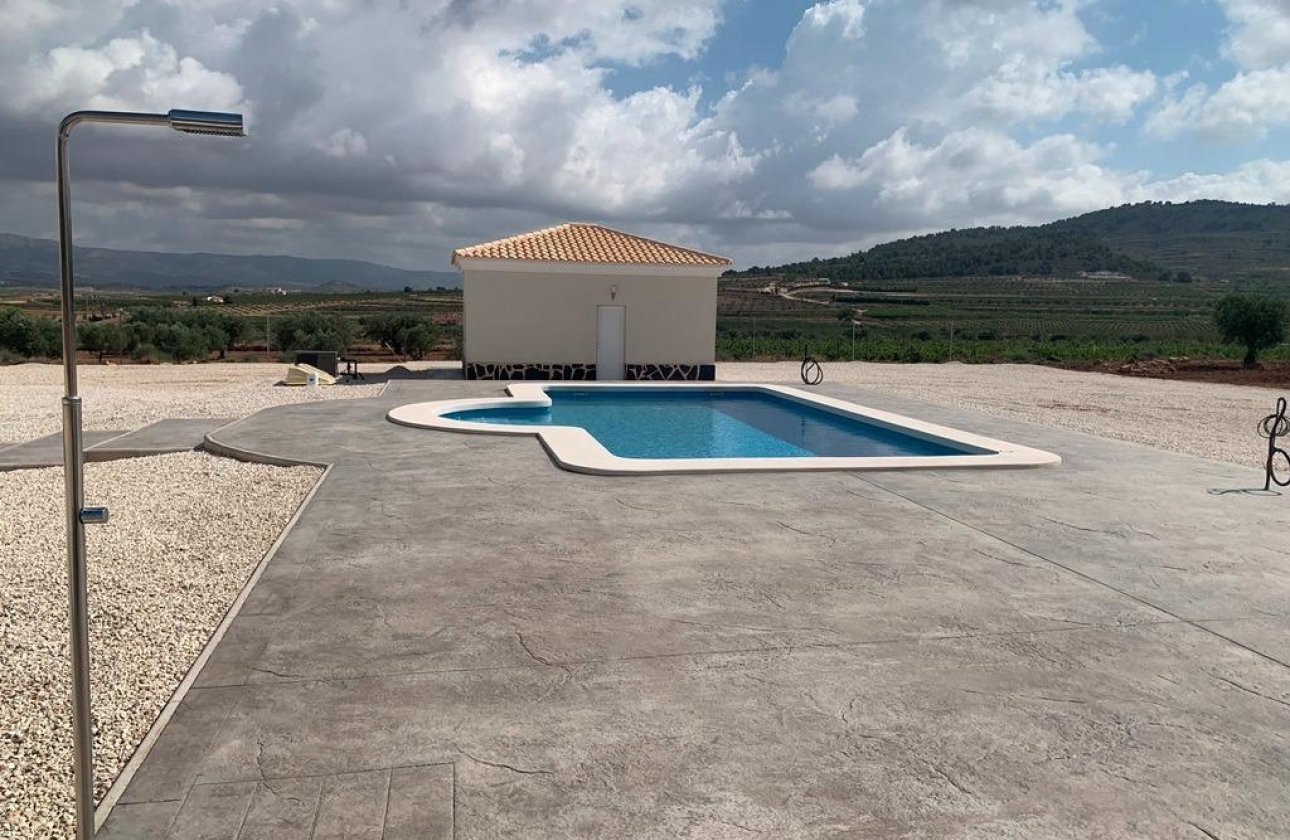 Nouvelle Construction - Villa -
Pinoso - Camino Del Prado