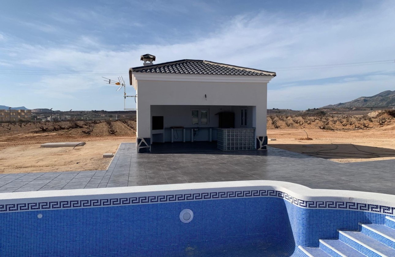 Nouvelle Construction - Villa -
Pinoso - Camino Del Prado