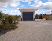 Nouvelle Construction - Villa -
Pinoso - Camino Del Prado