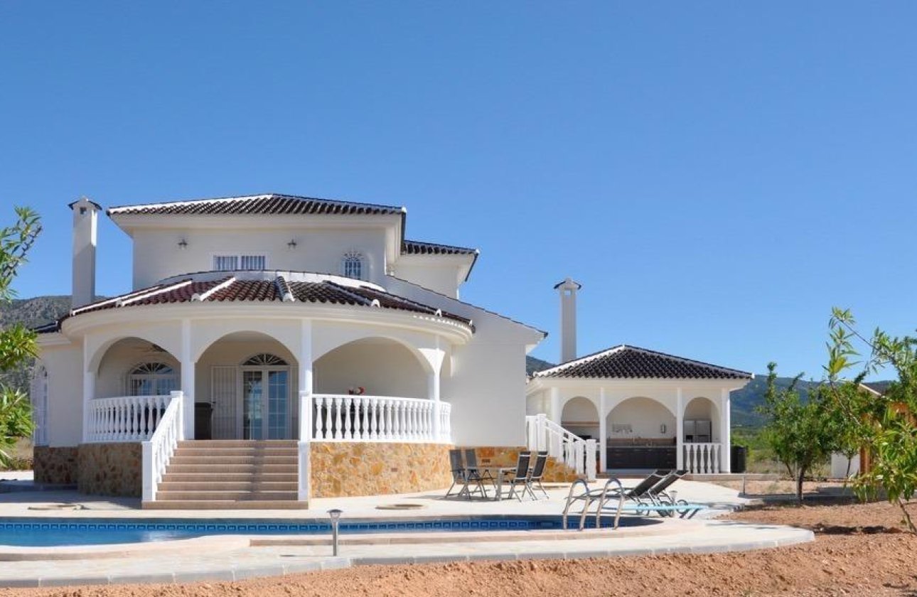 Nouvelle Construction - Villa -
Pinoso - Campo