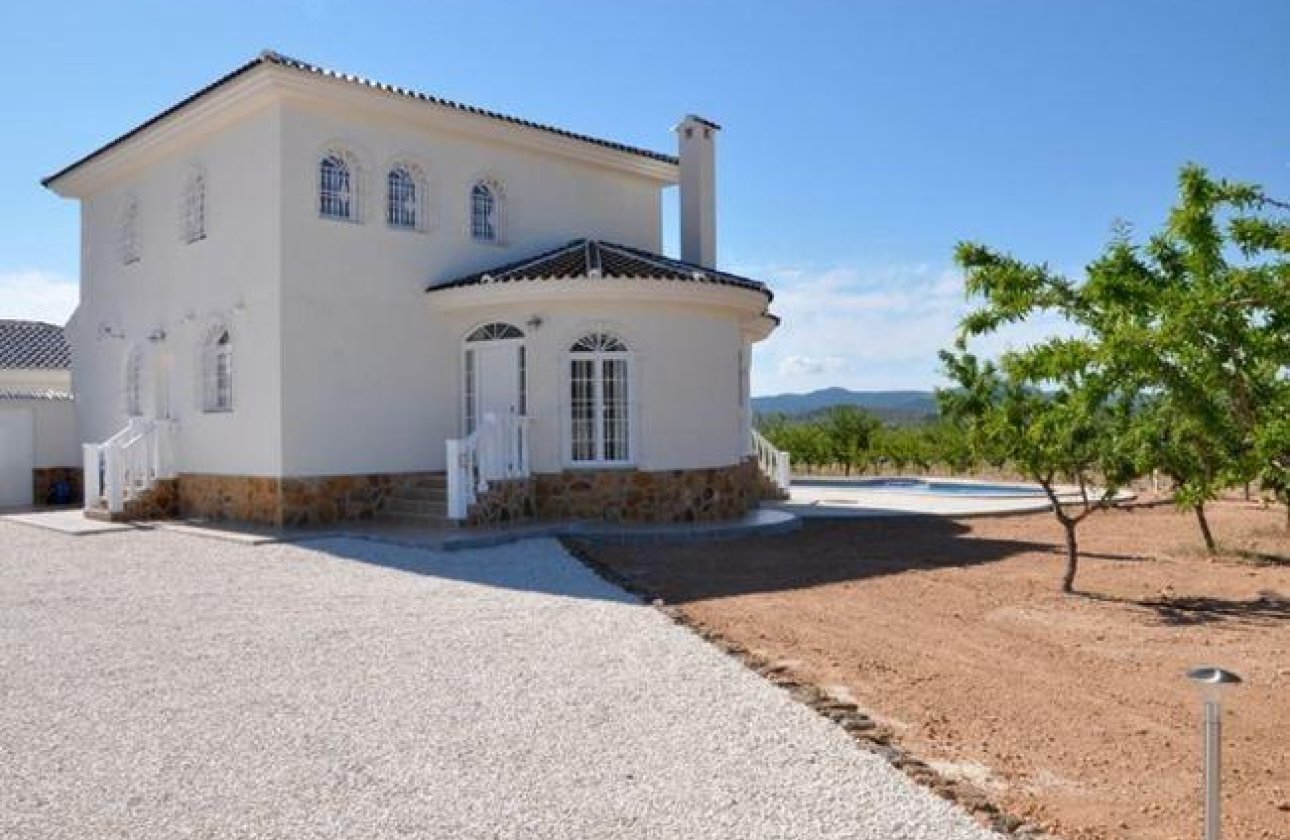 Nouvelle Construction - Villa -
Pinoso - Campo