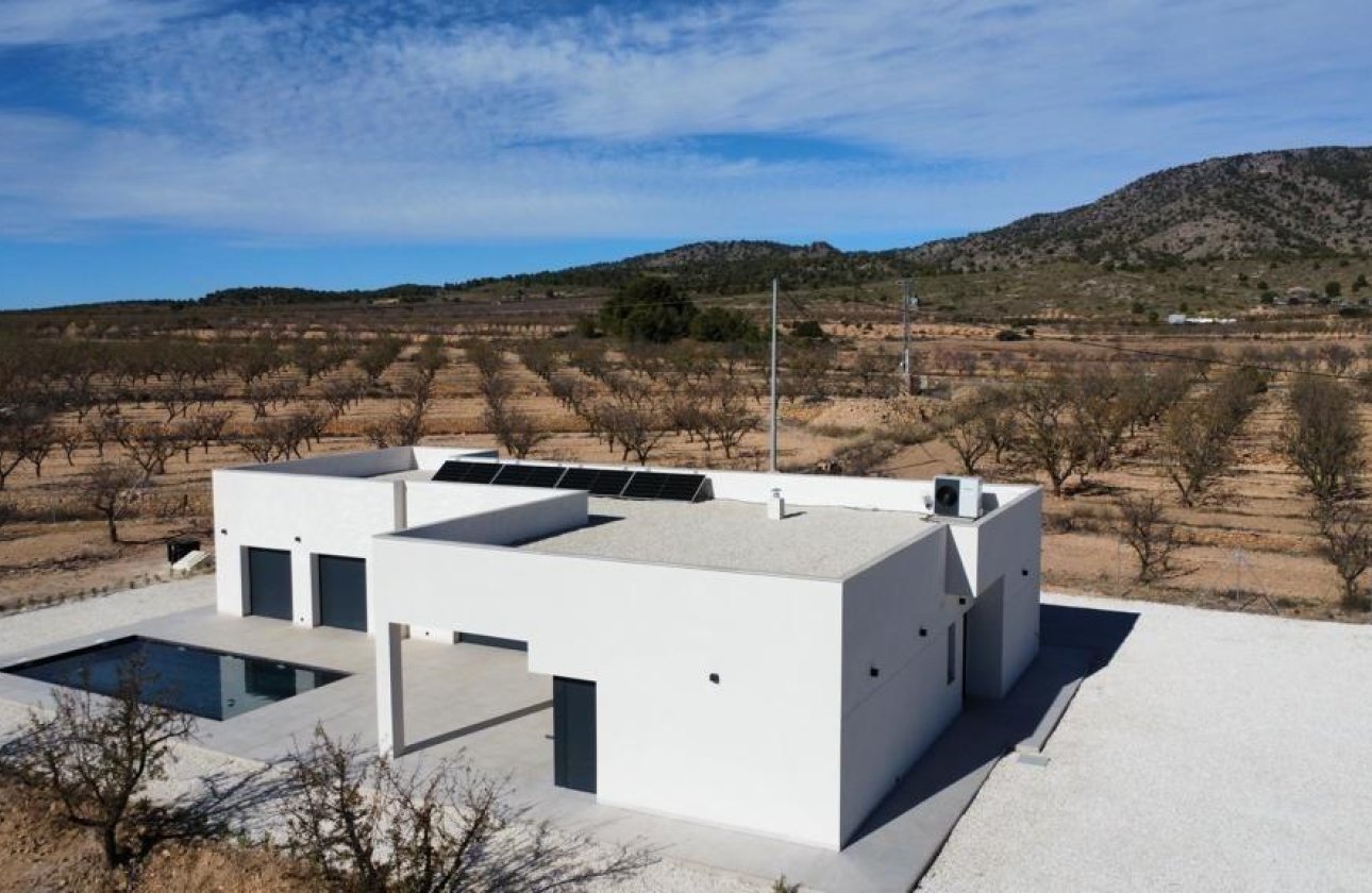 Nouvelle Construction - Villa -
Pinoso - Campo