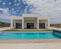 Nouvelle Construction - Villa -
Pinoso - Campo