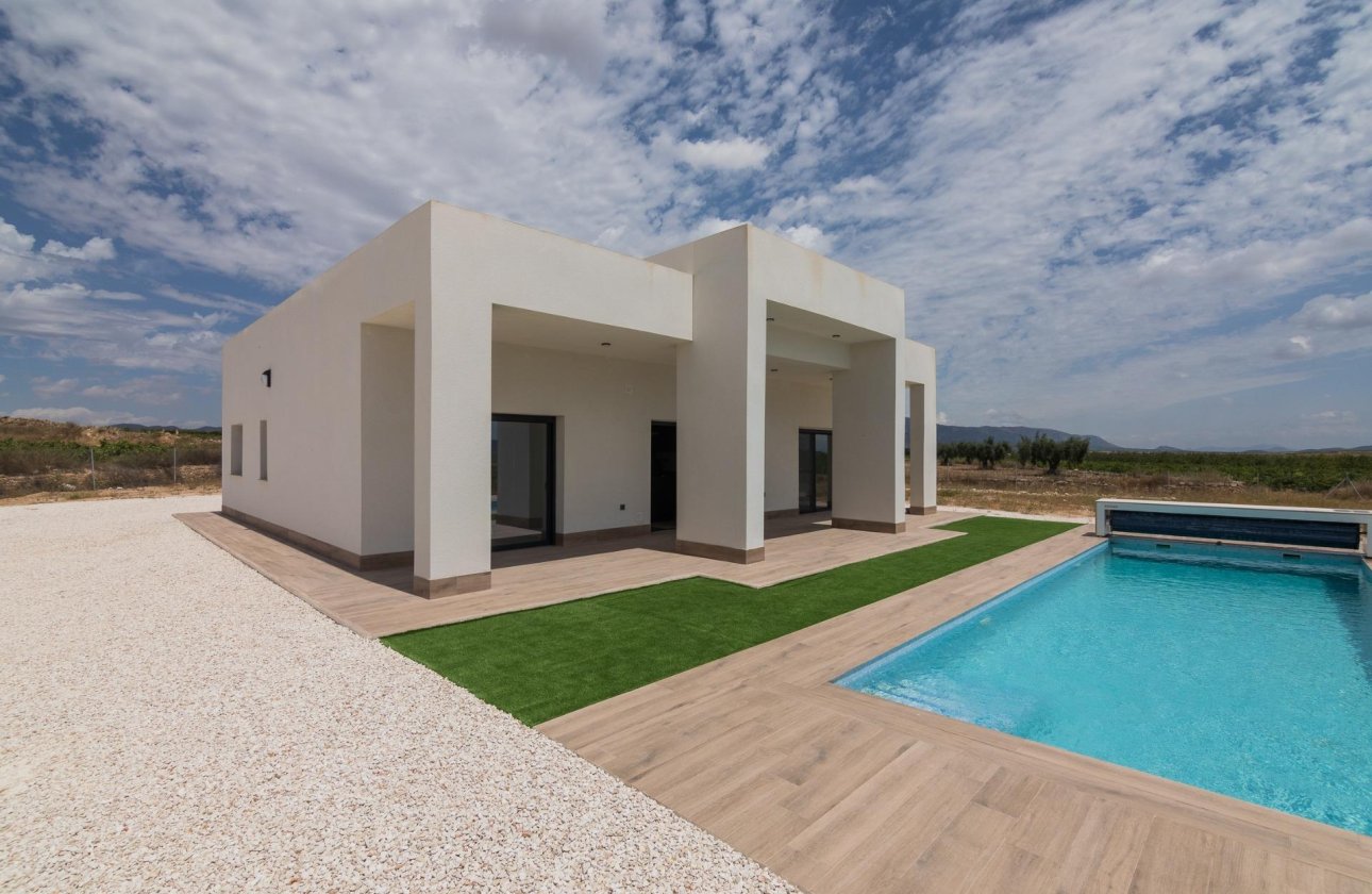 Nouvelle Construction - Villa -
Pinoso - Campo