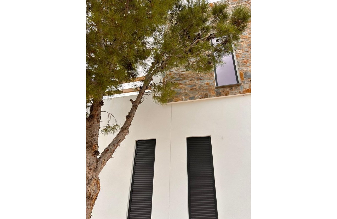 Nouvelle Construction - Villa -
Pinoso - Casas Pastor