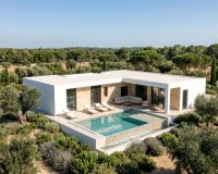 Nouvelle Construction - Villa -
Pinoso - Casas Pastor