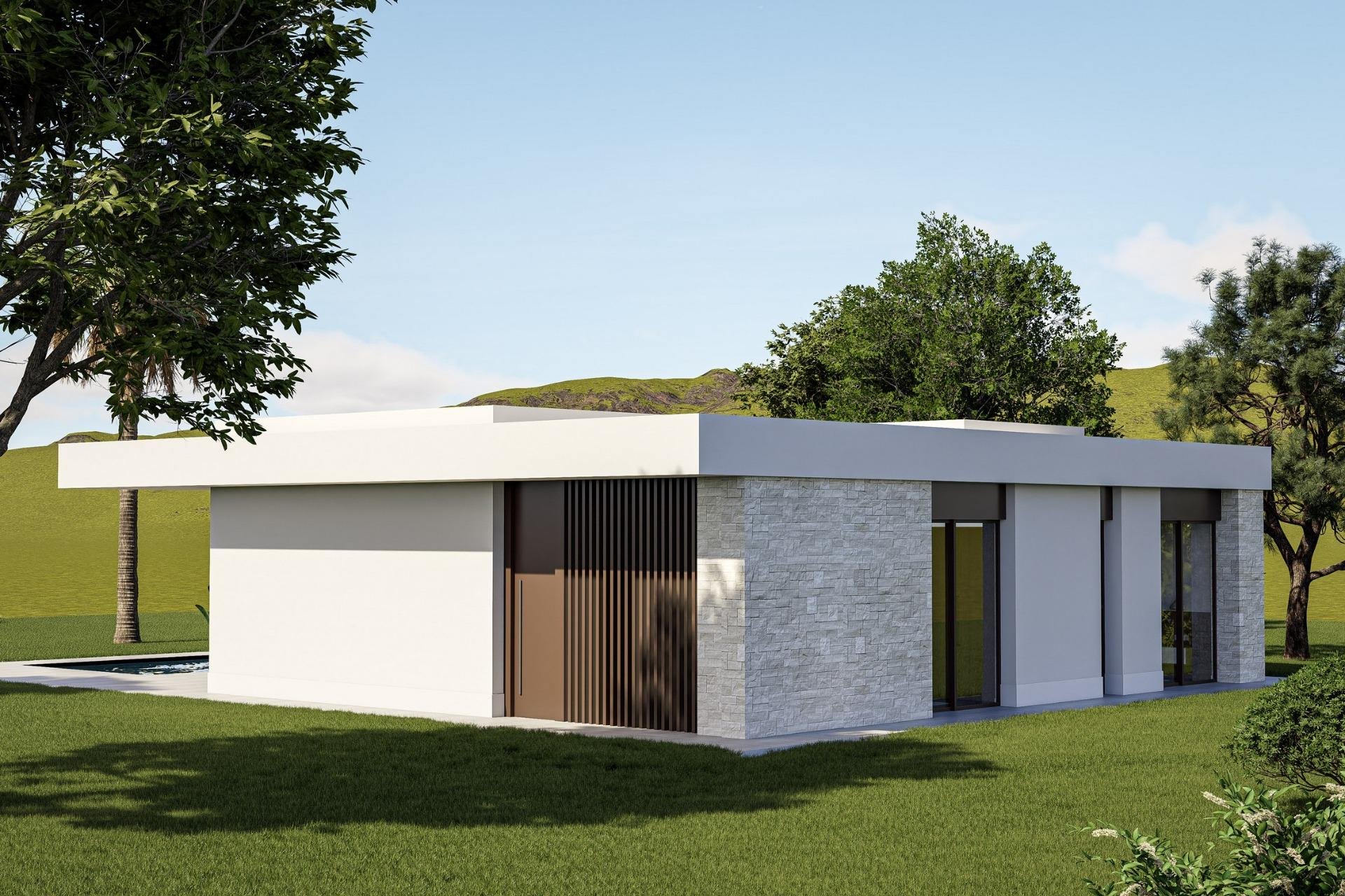Nouvelle Construction - Villa -
Pinoso - Lel