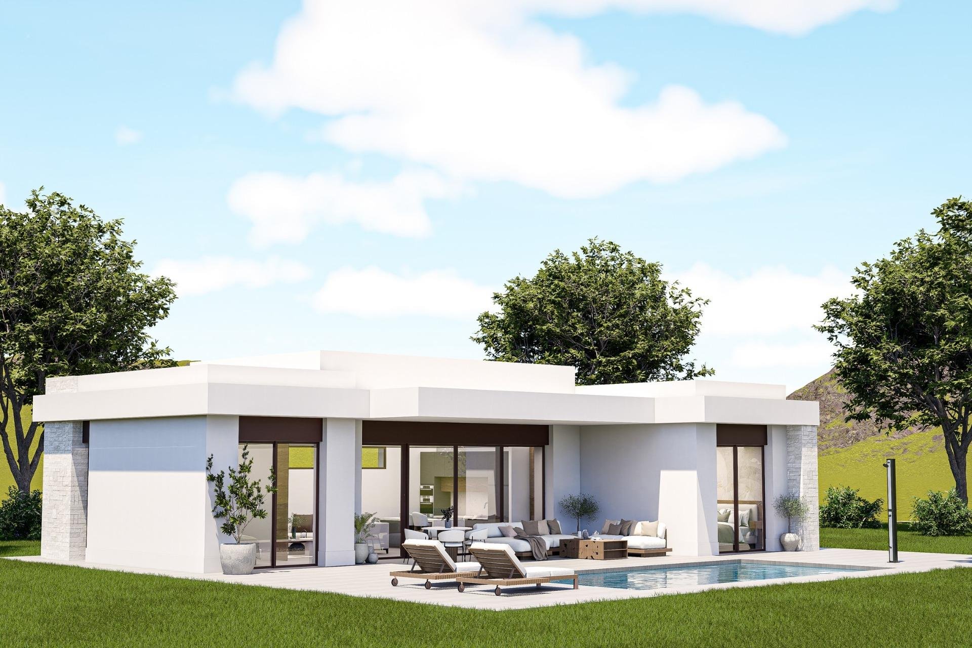 Nouvelle Construction - Villa -
Pinoso - Lel