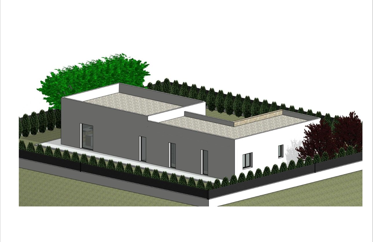 Nouvelle Construction - Villa -
Pinoso - Lel