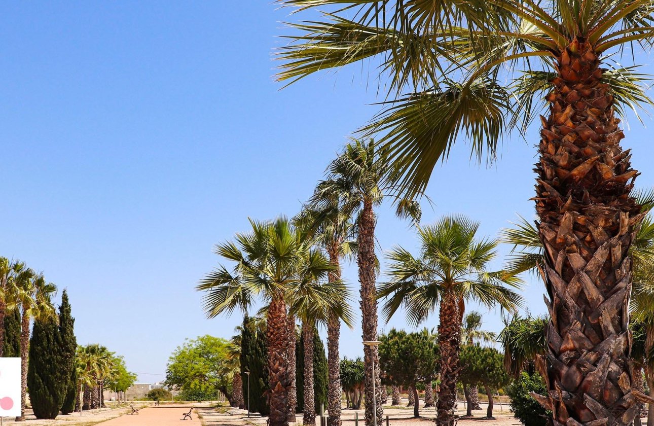 Nouvelle Construction - Villa -
San Fulgencio - La Escuera